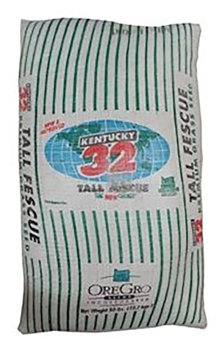 Kentucky 32 Tall Fescue Grass Seed - 10 Lbs. - Seed Barn
