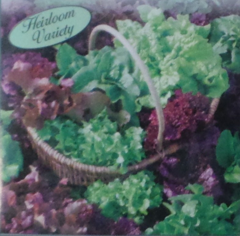 Lettuce Reds and Greens Loose Leaf Mix Seed Heirloom - 1 Packet - Seed Barn