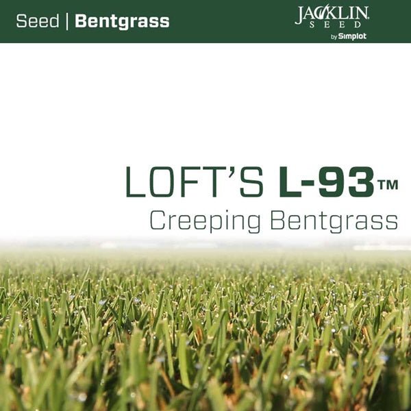 Loft&#39;s L-93 Creeping Bentgrass - 1 lb - Seed Barn
