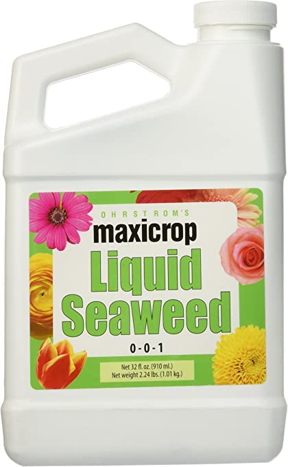 Maxicrop Liquid Seaweed 0-0-1 - 1 Qt - Seed Barn