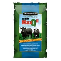 MaxQ II Texoma Forage Tall Fescue Grass Seed - 25 lbs. - Seed Barn