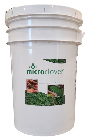 Micro Clover Seed (Pipolina) Certified - Seed Barn