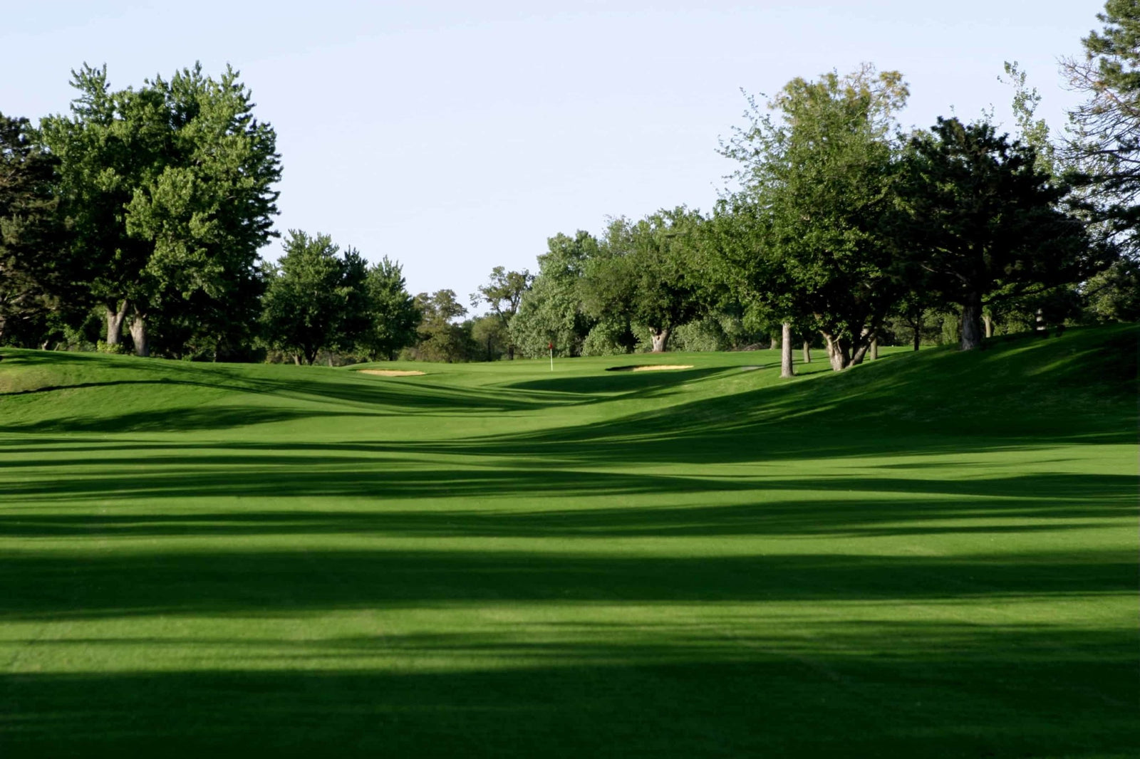 Monaco Bermudagrass Seeds (Riviera Bermuda Alternative) - Seed Barn