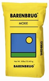 Moxie Teff Grass Seed - 50 Lbs. - Seed Barn