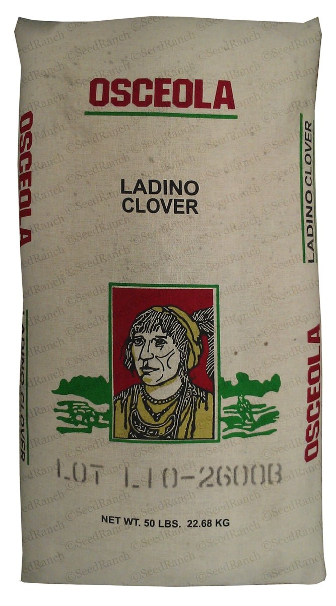 Osceola Ladino Clover Seed (Coated) - 50 Lbs. - Seed Barn