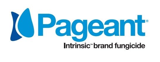 Pageant Intrinsic Brand Fungicide - Seed Barn