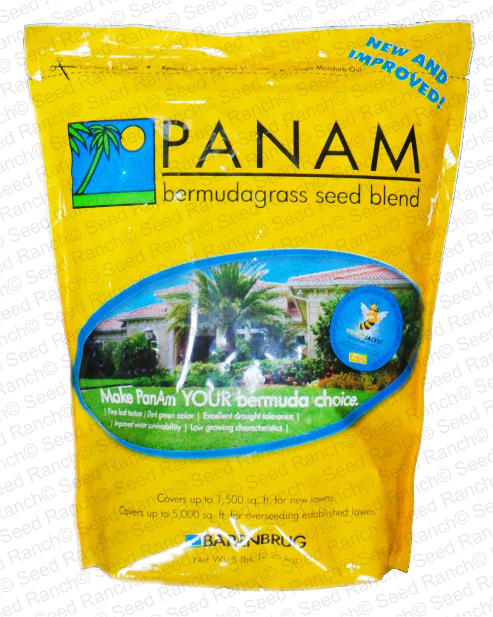 PanAm Bermuda Grass Seed Blend - 25 lbs - Seed Barn