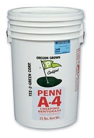 Penn A-4 Bentgrass Seed 25 Lbs. - Seed Barn