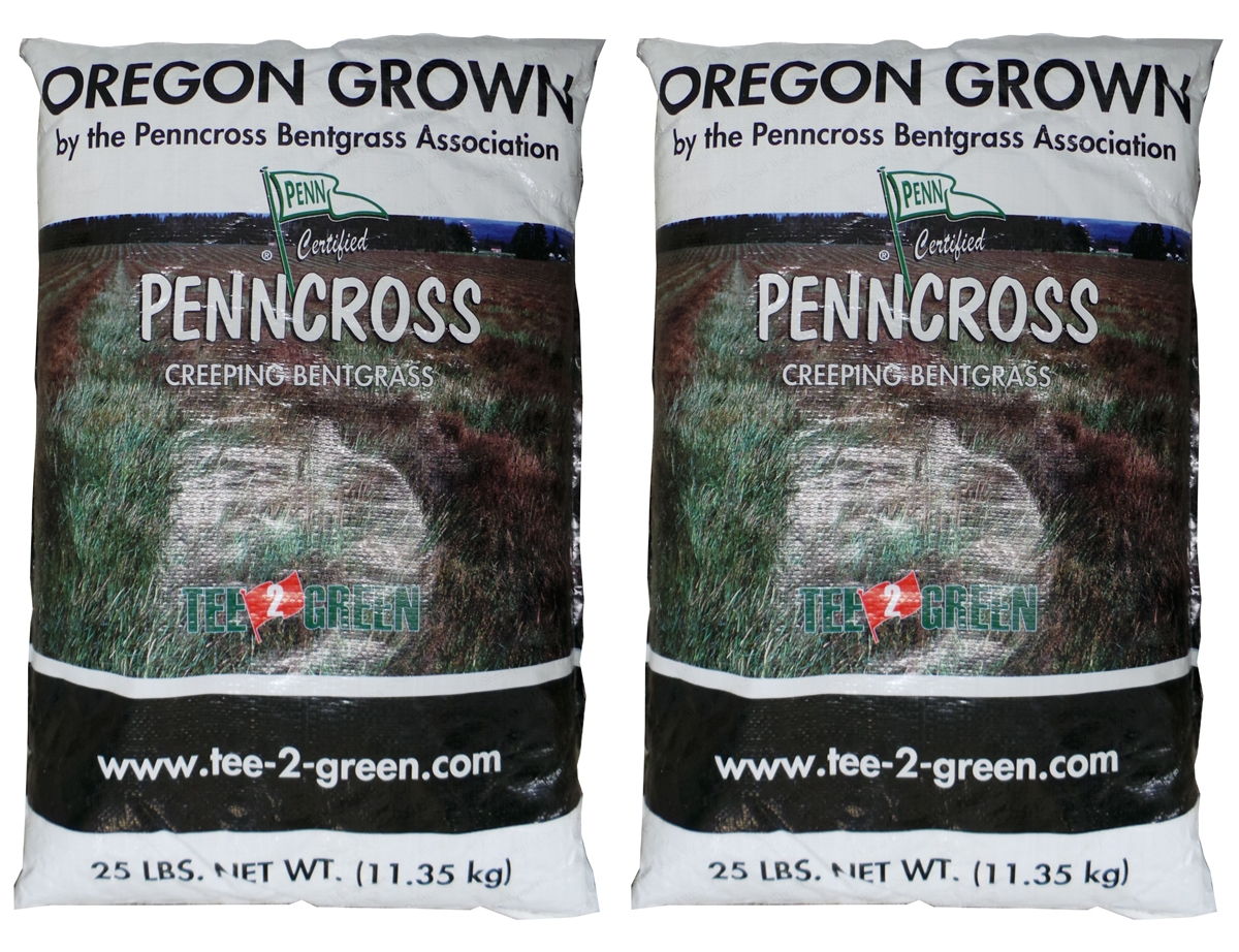 Penncross Bentgrass Seed - 50 Lbs. - Seed Barn