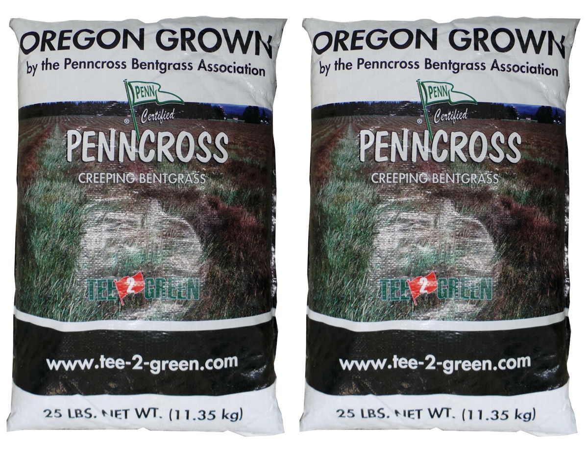 creeping bentgrass herbicide Penncross Coated Bentgrass Seed