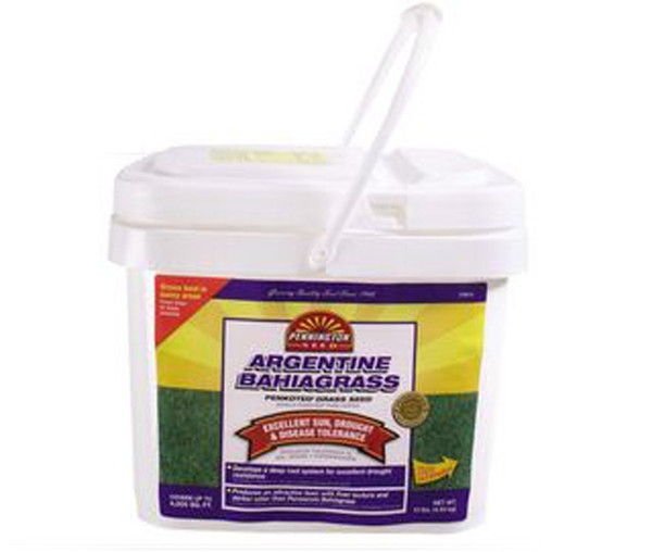 Pennington Argentine Bahia Grass Seed Pail - 10 Lbs. - Seed Barn