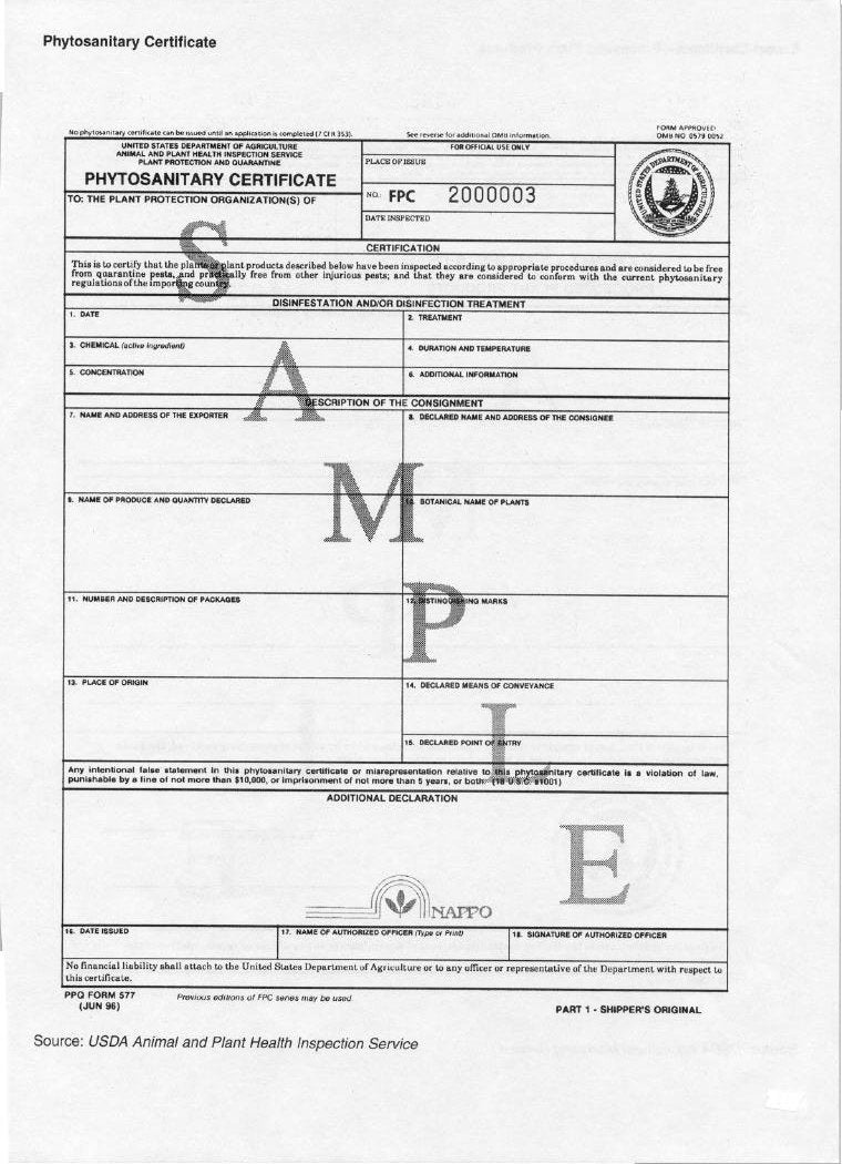 Phytosanitary Certificate - More than $1200 Value - Seed Barn