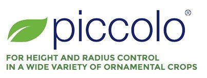 Piccolo PGR - 1 Gallon - Seed Barn