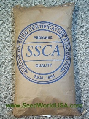 (Pre-Order) Tifquik Bahia Grass Seed (Certified) - 40 Lbs. - Seed Barn