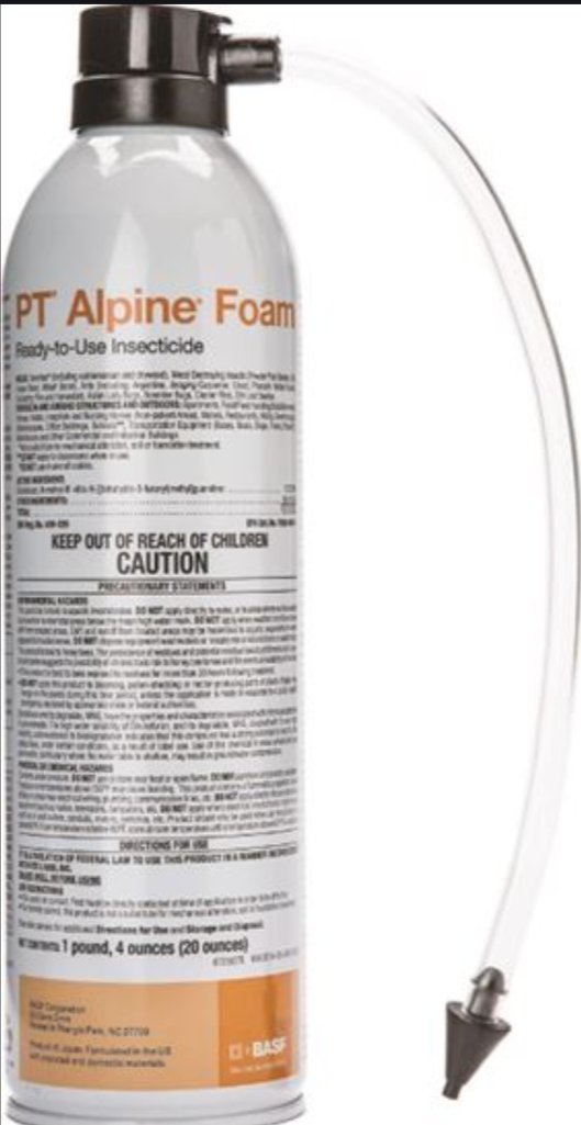 PT Alpine Foam - 20 oz. - Seed Barn