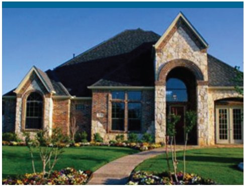 Quantum Leap (Midnight-type) Kentucky Bluegrass Seed - Seed Barn